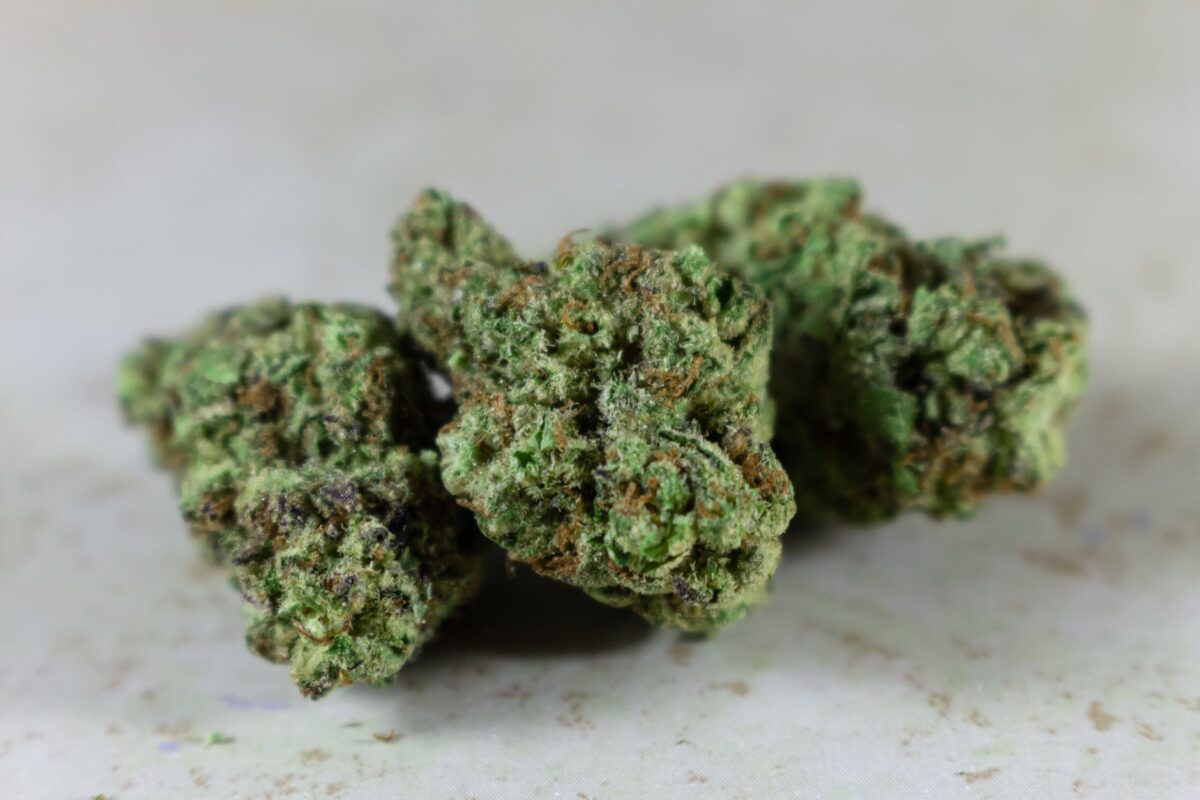 fleurs cbd reconnaître juger odeur texture